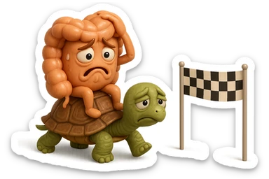  EMOJI STILE IPHONE 3D DI UN INTESTINO CON ESPRESSIONE ANGOSCIATA CHE CAMMINA SEDUTO IN GROPPA SUL GUSCIO DI UNA TARTARUGA IN ATTESA ESTENUANTE DI RAGGIUNGERE UN TRAGUARDO POCO PIù AVANTI, SULLA LORO DESTRA. IL TRAGUARDO è UNA BANDIERA A DUE PIEDI CON FASCIA A SCACCHI BIANCHI E NERI. iperrealistico 4k sticker