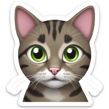 Brown black white and grey tabby Cat with green eyes and pink nose sticker