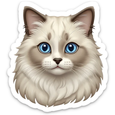 Cinematic-Fluffy-Seal-Ragdoll-Cat-Portrait-Emoji – Head tilted cutely with big, sparkling blue eyes, soft brown-and-white fur with darker seal points on the ears, face, and paws, simplified yet irresistibly adorable features, highly detailed, glowing with a soft and warm charm. sticker