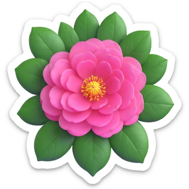 Detailed pink camellia flower with perfectly arranged petals and shiny dark green leaves sticker