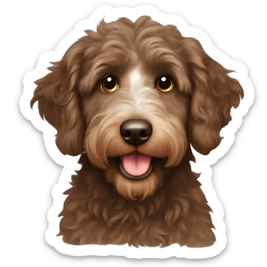 Brown aussiedoodle  sticker