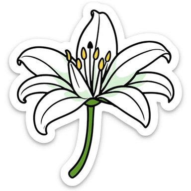 Pure white lily flower with accurate six-petal structure, visible stamens, and green foliage sticker