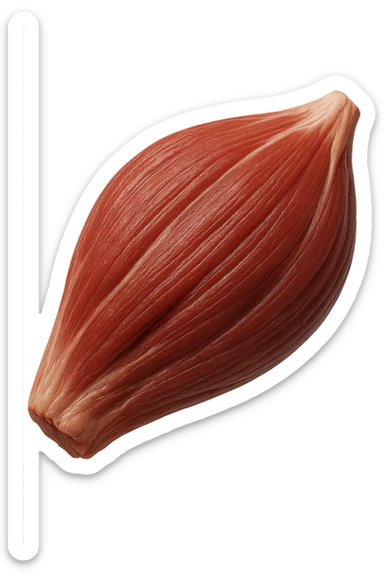 porzione di tessuto muscolare umano iperrealistico fluttua in aria, iperrealistico 4k sticker