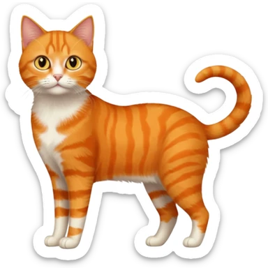 full body orange domestic shorthair slim cat with yellow/orange eyes  sticker