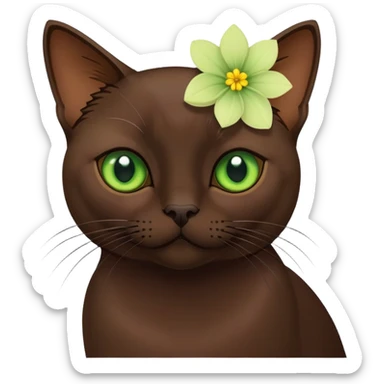 Dark brown Burmese cat with flower  sticker