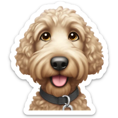 Doodle  after grooming with coat shining blinking eyes sticker