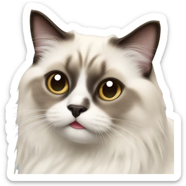 A Birman cat looking friendly with tongue out sticker
