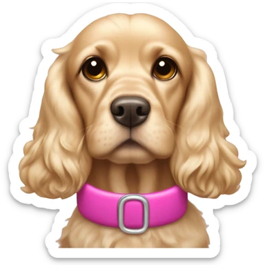 Blond cocker spaniel wearing a pink sleighbell sticker
