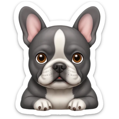 dark gray french bulldog with brown eyes and white belly sticker