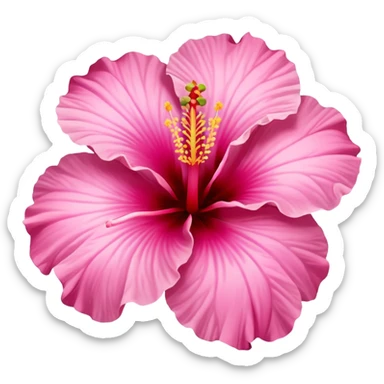 hibiscus flower pink sticker