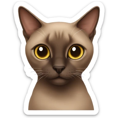 dark brown tonkinese cat sticker