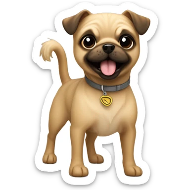 small terrier dog fawn colored wire coat with a pug tail super happy  sticker