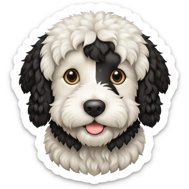 Black and white labradoodle sticker