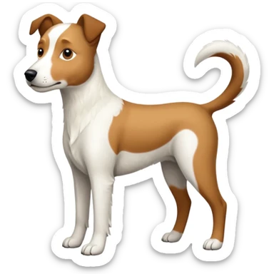 a full body large white parson russell looking dog the size of a kelpie with light brown ears and a light brown patch on one eye and a large snout sticker