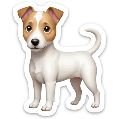 a full body slightly chubby white parson russell terrier looking dog the size of a kelpie with light brown long ears and a light brown patch on one eye and a large snout. the rest of the dog is completely whiteforward facing sticker