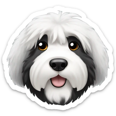 Old English sheepdog with a half and half face like a black (left) and white (right) cookie sticker