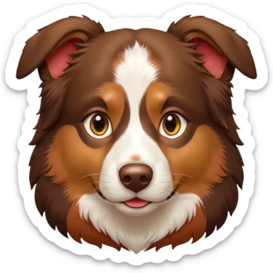 A tri color Australian shepherd with a chocolate brown base coat, red/gold fur on his eyebrows and snout/cheeks, a white chest, and gold eyes. No white on his face, only brown and gold. sticker