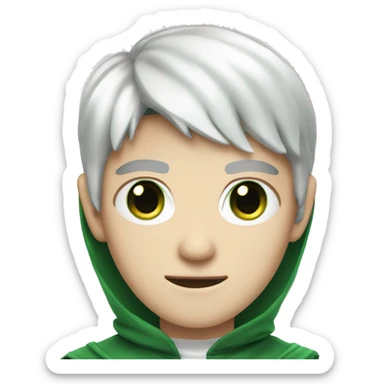 teenage white-skinned wizard with black hair green eyes in green disgue sticker