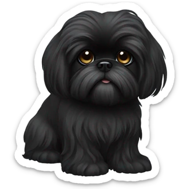 Completely black shiz tzu with long hair  sticker