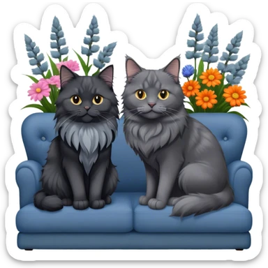 A black smoke Maine Coon cat with long gray ear tufts and a large gray ruff, and a thick blue British Shorthair cat, sitting together on a couch. A cozy room with flowers in the background. Transparent background. sticker