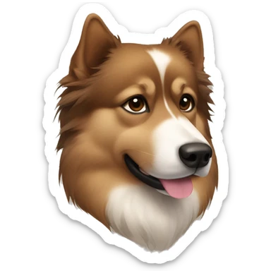 Finnish Lapphund brown. His nose and face is dark brown and full of black spots sticker