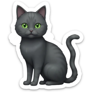 full body view of beautiful female solid dark grey cat with green eyes, grey face, white toes and white patch on chest sticker