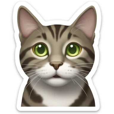 Brown-grey mackerel tabby cat with partially white face and green eyes he looks happy and does not have a round face or yellow eyes sticker