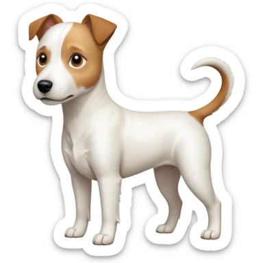 a full body slightly chubby white parson russell terrier looking dog the size of a kelpie with light brown long ears and a light brown patch on one eye and a large snout. the rest of the dog is completely white sticker