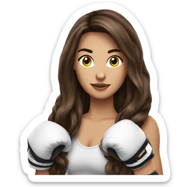 à beatiful long hair brunette with boxer gloves sticker