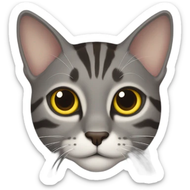 dark gray tabby cat with yellow eyes, black nose, some brown around mouth, brown around mouth, half of left ear missing sticker