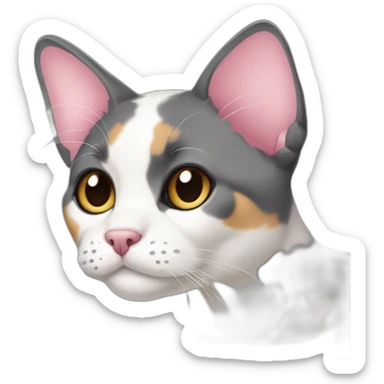older diluted calico, white chin, black and pink nose, mostly dark grey, dark grey ears sticker