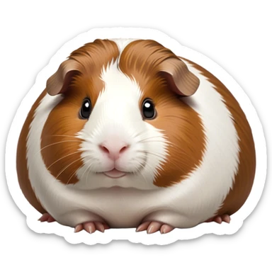 Cinematic Noble Brown and White Banded Guinea Pig Portrait Emoji, Poised and regal, with a compact, chubby build and a uniquely patterned fur of warm brown and crisp white banding, deep-set soulful dark eyes, Simplified yet sharp and sophisticated features, highly detailed, glowing with a soft, dignified glow, high shine, intelligent and charming, stylized with an air of distinctive elegance, focused and attentive, soft glowing outline, capturing the essence of a watchful and confident companion, so majestic it feels as though it could scurry out of the screen with effortless authority! sticker