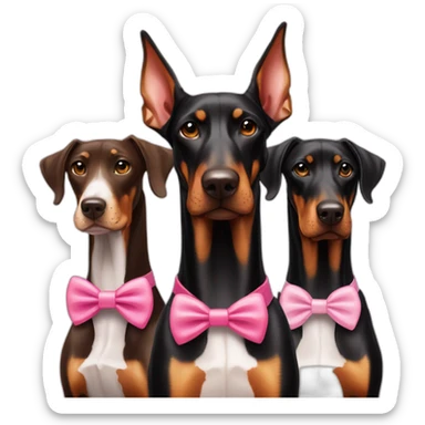 doberman-with-a-pink-bow-tie,-next-to-a-white-and-a-brown-dobermans sticker