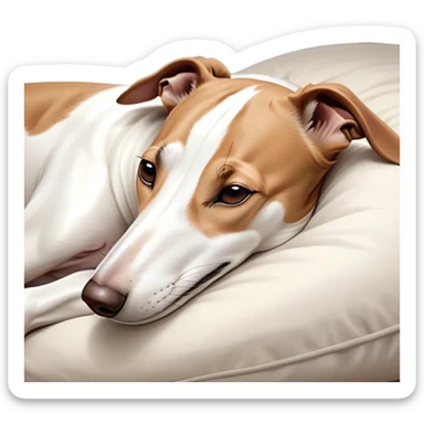 Meme-Worthy Cute Sleeping White and Brown Greyhound Portrait Emoji, Head resting peacefully with a contented smile, showcasing a lean, graceful build and a luxuriously smooth Fur of white with brown accents, eyes shut in a serene nap, Simplified yet hilariously adorable features, highly detailed, glowing with a soft, drowsy light, high shine, relaxed and utterly lovable, stylized with an air of playful laziness, bright and heartwarming, soft glowing outline, capturing the essence of a comically sleepy racer, so meme-worthy it feels like it could instantly become the next viral sensation of adorable slumber! sticker
