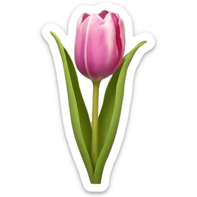 Tulip sticker