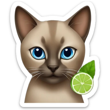 blue eyes brown siamois cat drinking mojito sticker