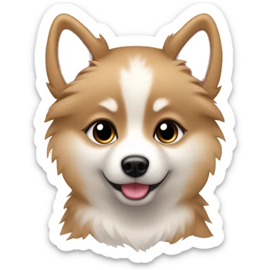 Tan and white Pomsky with a light pink bow sticker