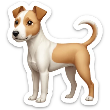 a full body facing front on of a buff white parson russell terrier looking dog the size of a kelpie with light brown long ears resting on its face and a light brown patch above one eye and a large snout. the rest of the dog is completely white.  sticker