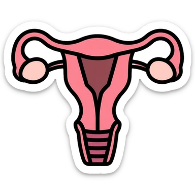 simple medical diagram of male reproductive anatomy, tasteful, anatomical sticker