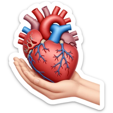 hand holding heart organ sticker