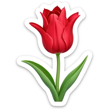 tulip flower entwined with an amaryllis flower sticker