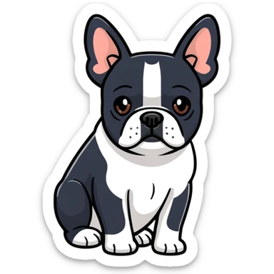 Boston terrier that looks like a French bulldog sticker