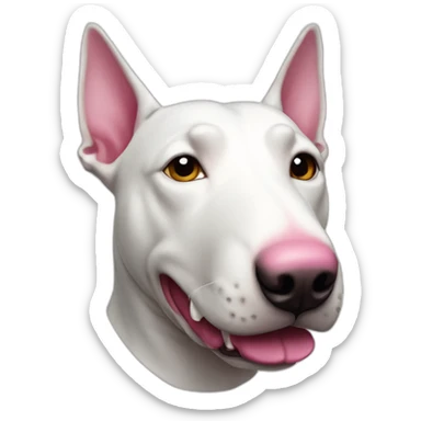 all white bull terrier head with pink nose sticker