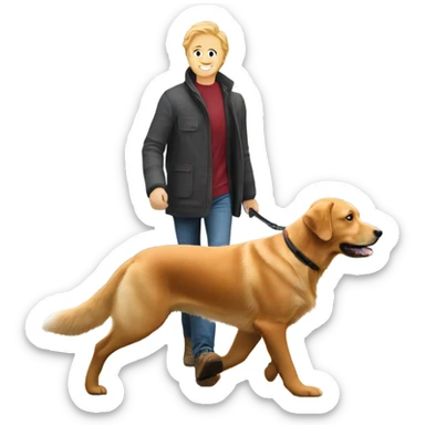 man walking fox red Labrador and woman walking English cream retriever sticker