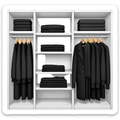 Closet organizer with visible compartments filled with black long sleeve shirts, sweaters and work clothes sticker