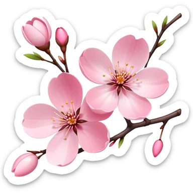 Single elegant pink cherry blossom (sakura) flower on a branch with soft pink petals, delicate shape, and subtle gradient sticker