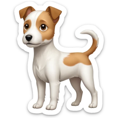 a full body slightly chubby white parson russell terrier looking dog the size of a kelpie with light brown long ears and a light brown patch on one eye and a large snout sticker