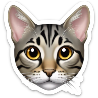 Cat Breed Tabby (Mainly black and gray) Ears Slightly pointed and sharp in shape Eyes Large and intense, with a strong gaze Whiskers Very long Chin Sharp with distinct lines Mouth Area White sticker