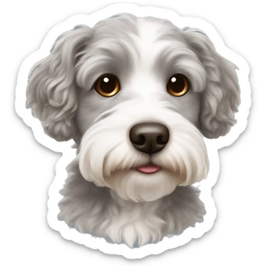 Cute grey and white Havapoo with a lot of brown hair around the nose sticker