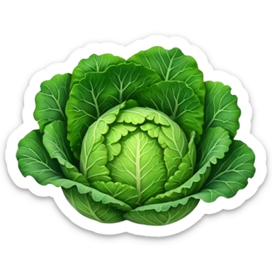 Savoy cabbage sticker